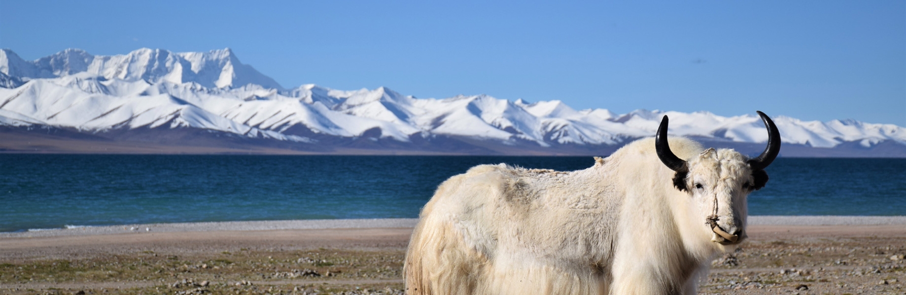 Tibet Tours