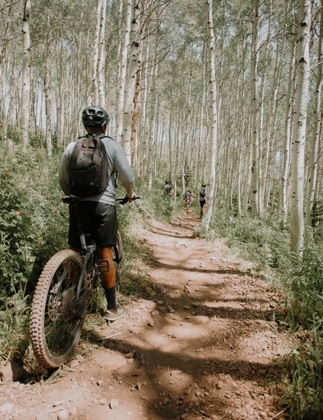 Bicycle Tours in Himalaya