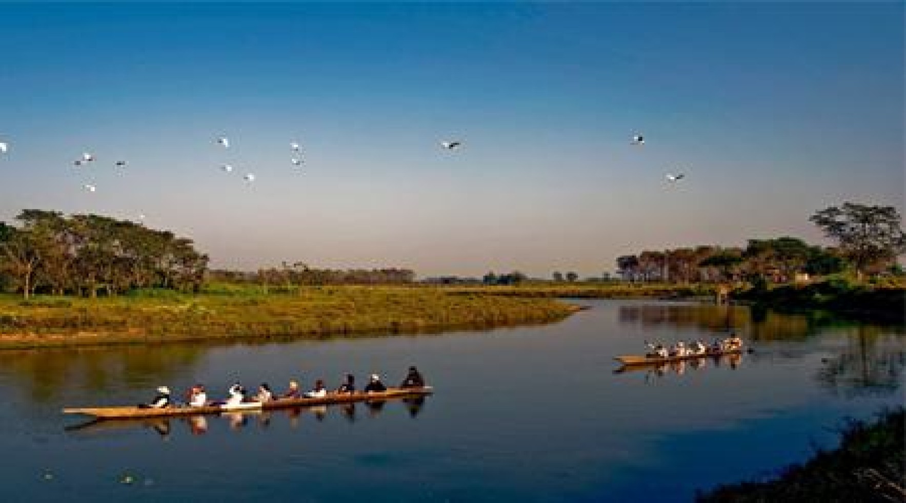 Young is an Attitude